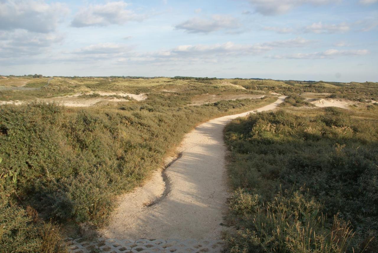 Huis Zeeduin Amsterdam Beach 잔드보르트 외부 사진